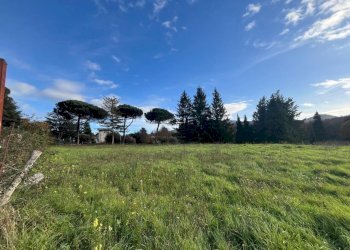 WhatsApp Image 2024-11-21 at 15.14.52 (2).jpeg - Terreno agricolo Via Tuscolana 26, Grottaferrata - foto 3