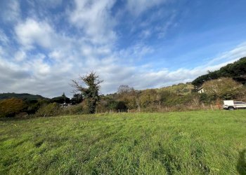 WhatsApp Image 2024-11-21 at 15.14.52 (1).jpeg - Terreno agricolo Via Tuscolana 26, Grottaferrata - foto 4