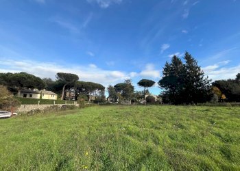 WhatsApp Image 2024-11-21 at 15.14.52.jpeg - Terreno agricolo Via Tuscolana 26, Grottaferrata - foto 5