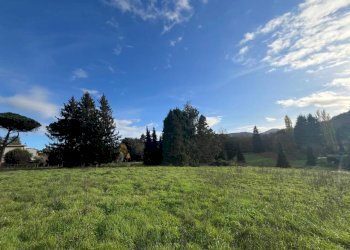 WhatsApp Image 2024-11-21 at 15.14.51 (1).jpeg - Terreno agricolo Via Tuscolana 26, Grottaferrata - foto 6