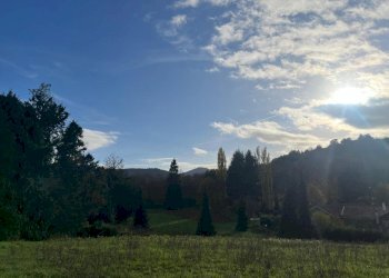 WhatsApp Image 2024-11-21 at 15.14.51.jpeg - Terreno agricolo Via Tuscolana 26, Grottaferrata - foto 7