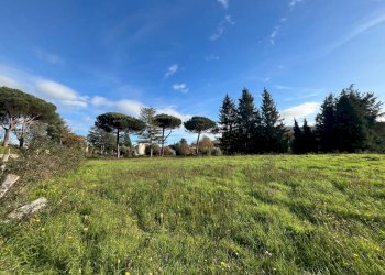 WhatsApp Image 2024-11-21 at 15.14.50 (2).jpeg - Terreno agricolo Via Tuscolana 26, Grottaferrata - foto 8