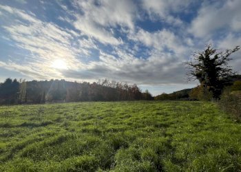 WhatsApp Image 2024-11-21 at 15.14.50.jpeg - Terreno agricolo Via Tuscolana 26, Grottaferrata - foto 9