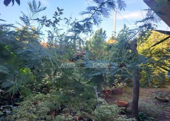 5.jpg - Terratetto - Terracielo Via San Leonardo 70, Massa - foto 7