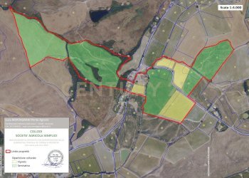 doc. n. 3-Planimetria aziendale Collodi.jpg - Casale podere collodi  snc, Montalcino - foto 30