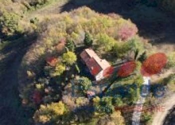 Casa indipendente Civitella di Romagna - foto 23