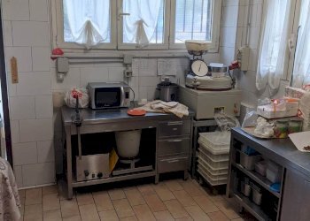 Pizzeria Modena - foto 7