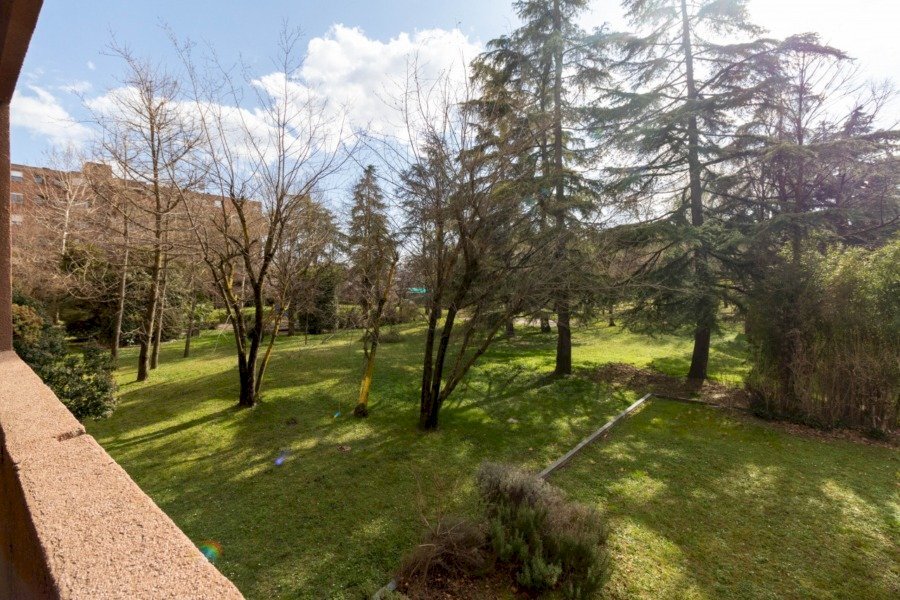 Box Via della Ca' Bianca, Bologna (zona Lame) - foto 3