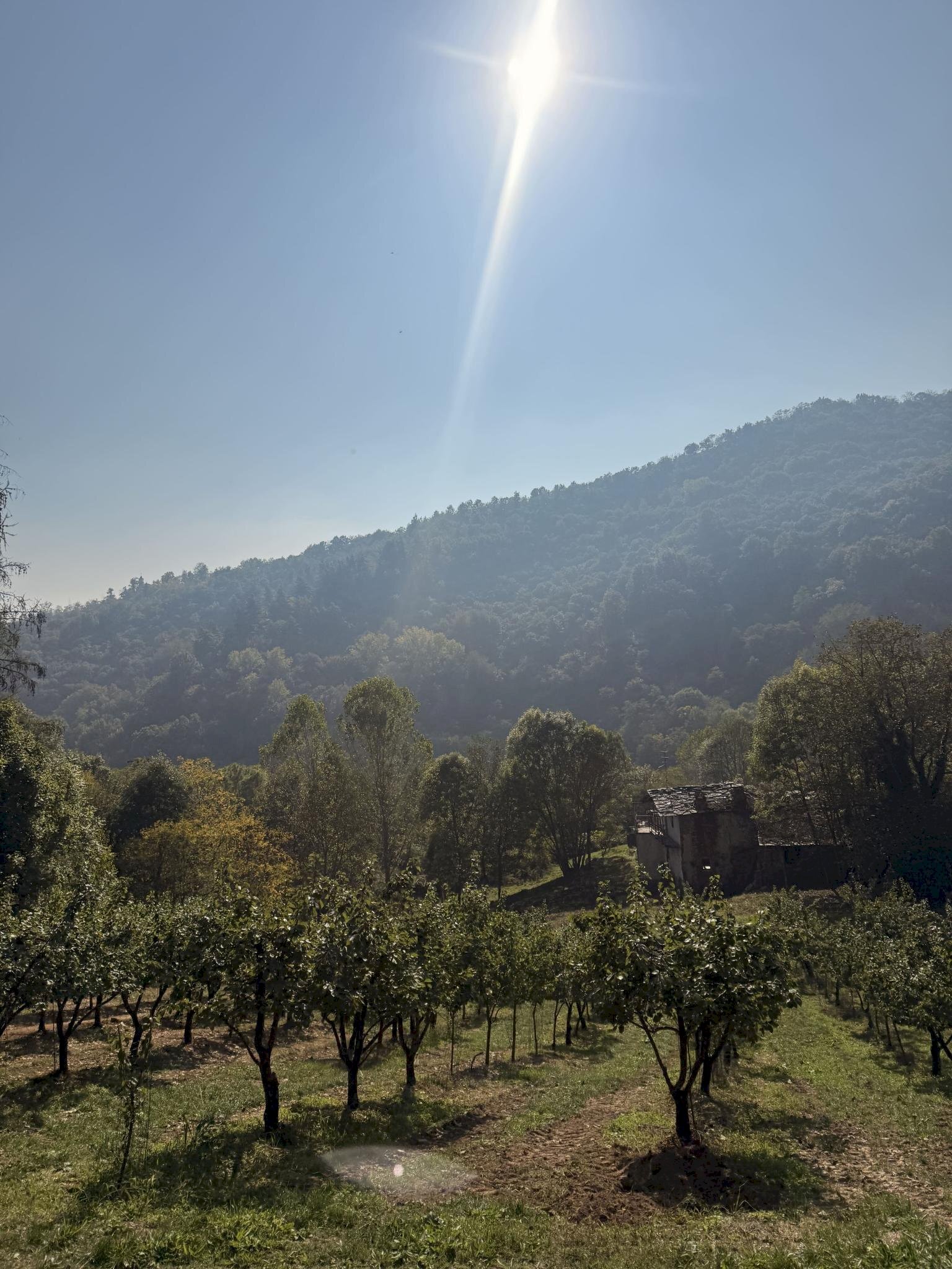 Independent house Verzuolo - photo 3