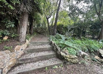 Semi-detached Villa Livorno - photo 17