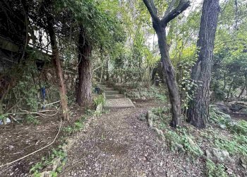 Semi-detached Villa Livorno - photo 26