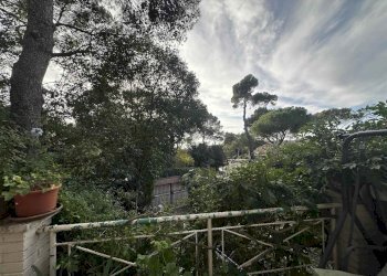 Semi-detached Villa Livorno - photo 28