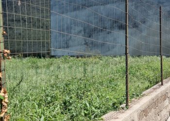 Foto 4 - Terreno edificabile Portico di Caserta - foto 4