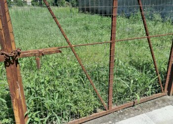 Foto 7 - Terreno edificabile Portico di Caserta - foto 7