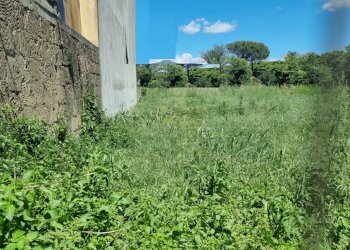 Foto 8 - Terreno edificabile Portico di Caserta - foto 8