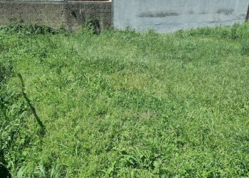 Foto 9 - Terreno edificabile Portico di Caserta - foto 9