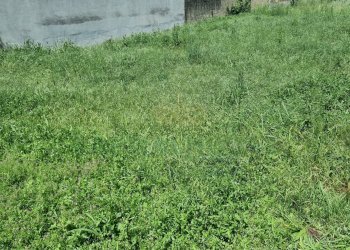 Foto 10 - Terreno edificabile Portico di Caserta - foto 10