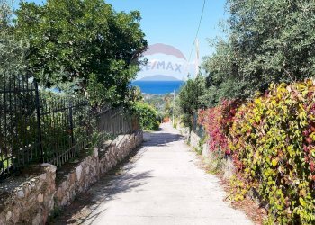 Giardino - Villa contrada San Giuseppe
 
snc, Partinico - foto 7