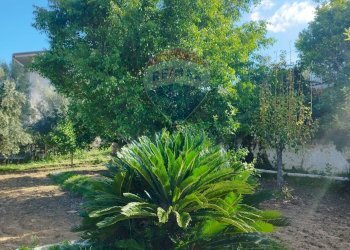 Giardino - Villa contrada San Giuseppe
 
snc, Partinico - foto 9