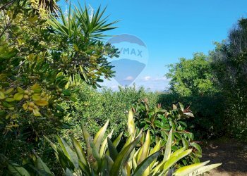 Giardino - Villa contrada San Giuseppe
 
snc, Partinico - foto 10