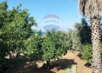 Giardino - Villa contrada San Giuseppe
 
snc, Partinico - foto 14