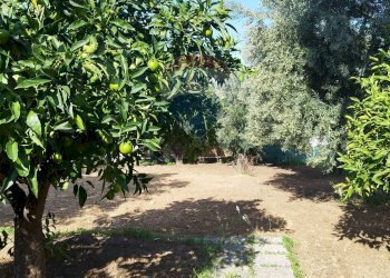 Giardino - Villa contrada San Giuseppe
 
snc, Partinico - foto 15