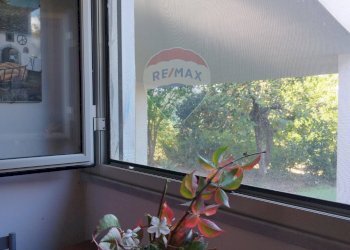 Dettagli - Villa contrada San Giuseppe
 
snc, Partinico - foto 20