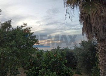 Vista delle montagne - Villa contrada San Giuseppe
 
snc, Partinico - foto 54