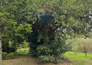 Giardino - Villa ss 643, Polizzi Generosa - foto 27