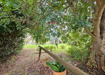 Giardino - Villa ss 643, Polizzi Generosa - foto 28