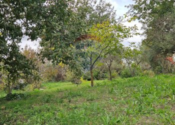 Giardino - Villa ss 643, Polizzi Generosa - foto 30