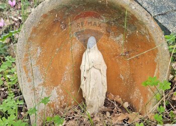 Giardino - Villa ss 643, Polizzi Generosa - foto 36