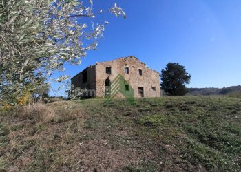 Foto 12 - Rustico Strada Provinciale
 
19, Teramo - foto 12