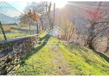 Terreno - Rustico via Vittorio Veneto, 42, Aurano - foto 27