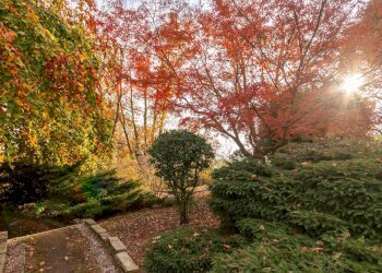 Esterno - Quadrilocale via PIETRA DEL GALLO, 51, Pino Torinese - foto 41