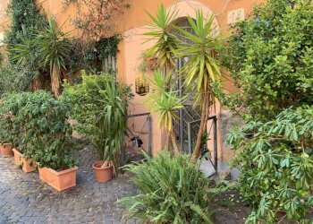 Giardino - One-room apartment vicolo dei Panieri, 48, Roma (neighborhood Trastevere) - photo 13