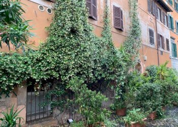 Giardino - One-room apartment vicolo dei Panieri, 48, Roma (neighborhood Trastevere) - photo 14