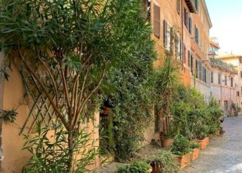 Zona - One-room apartment vicolo dei Panieri, 48, Roma (neighborhood Trastevere) - photo 19