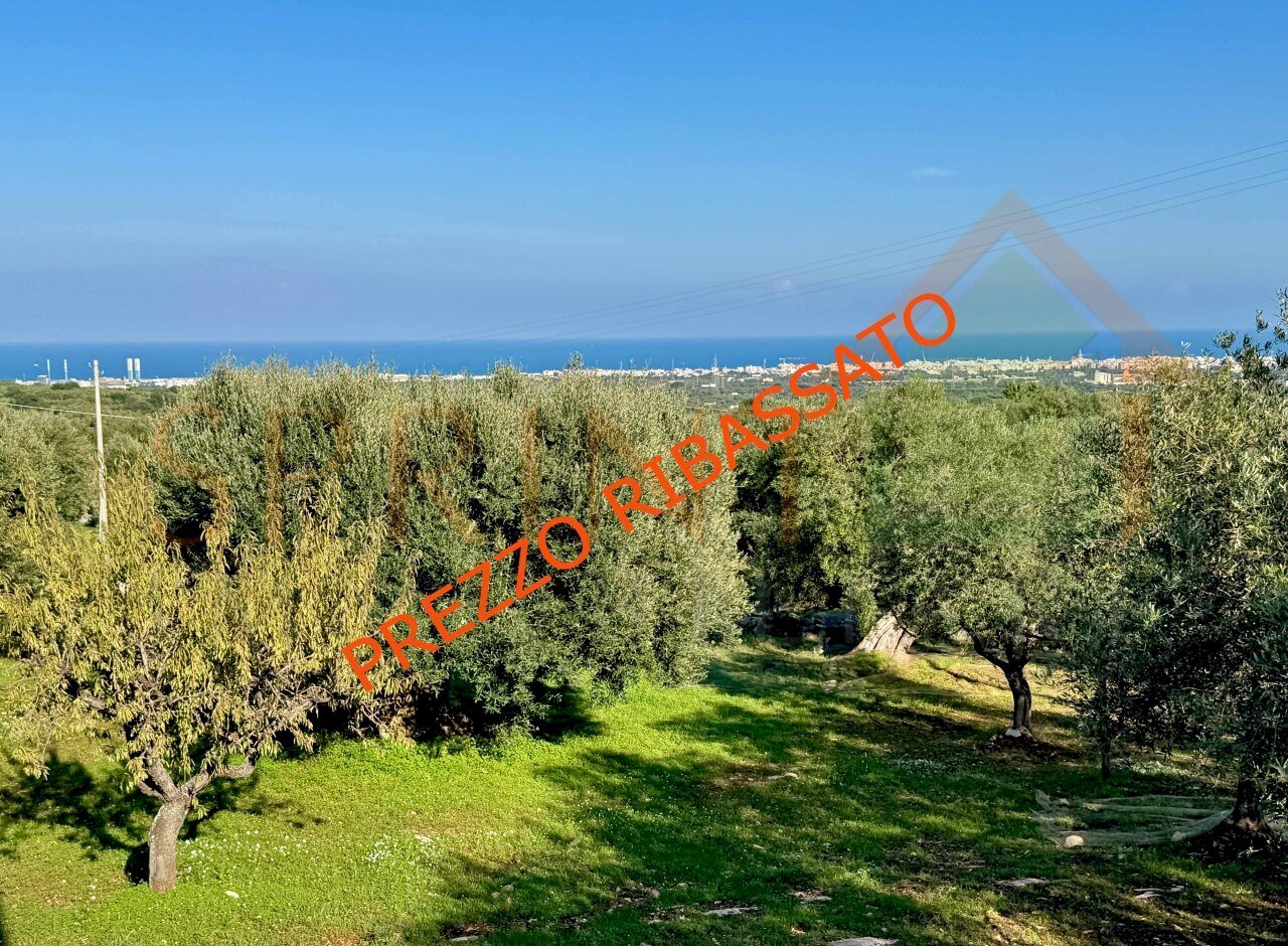 IMG_2728 PREZZO RIB .jpg - Terreno agricolo Contrada San Vincenzo, Monopoli - foto 1