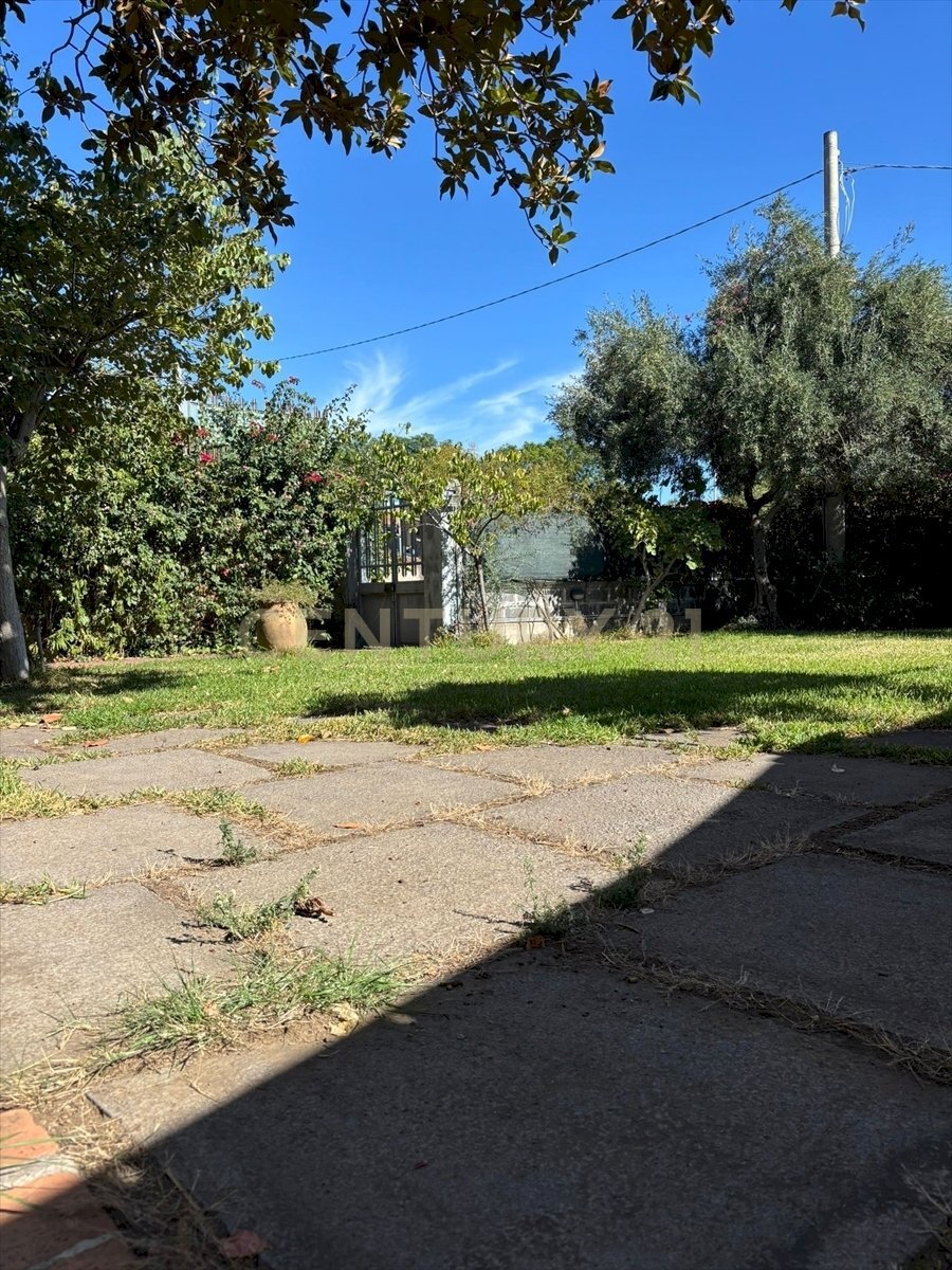 2.jpg - Villa Via San Sofia 71, Catania - foto 2