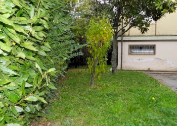 Foto 46 - Trilocale Lucca - foto 46