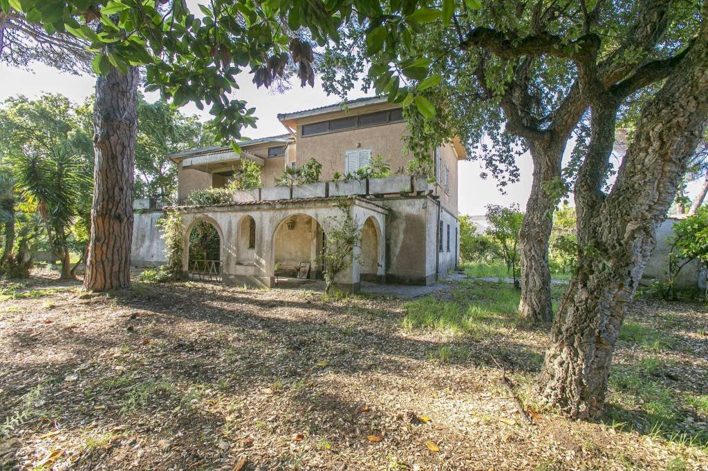 Giardino - Villa vicolo Roma, 1, Anzio - foto 3