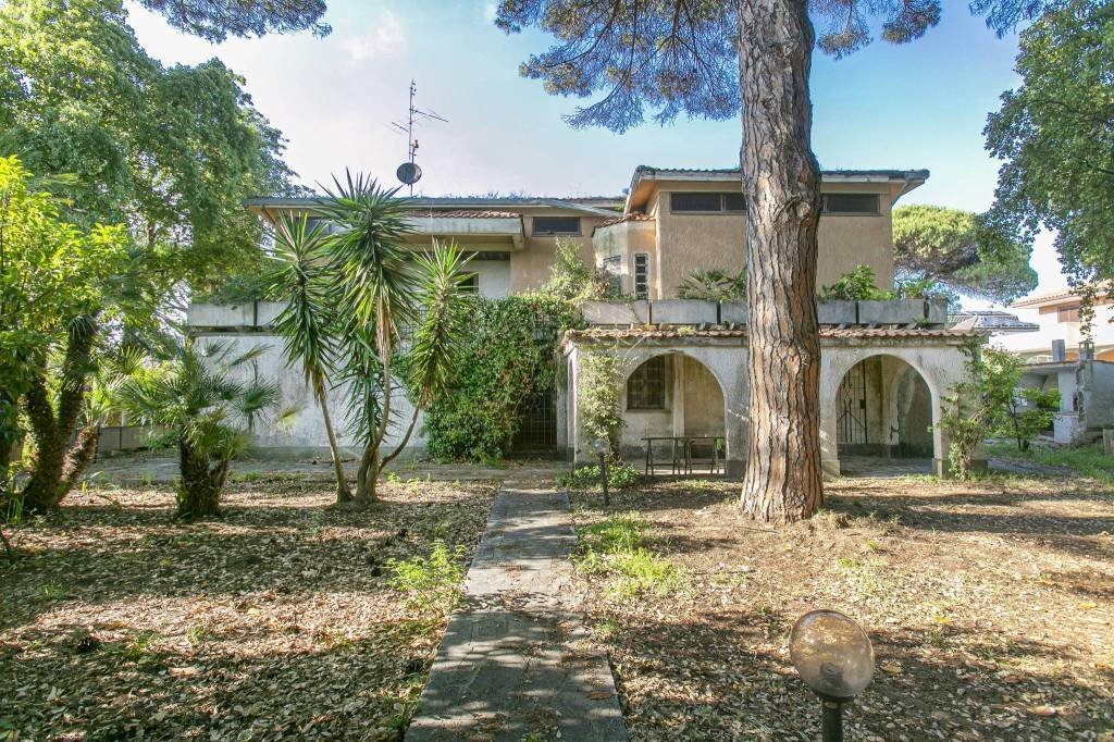 Giardino - Villa vicolo Roma, 1, Anzio - foto 2