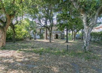 Giardino - Villa vicolo Roma, 1, Anzio - foto 4