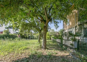 Giardino - Villa vicolo Roma, 1, Anzio - foto 13