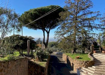 Terreno - Villa via Spinabella, 21, Marino - foto 3