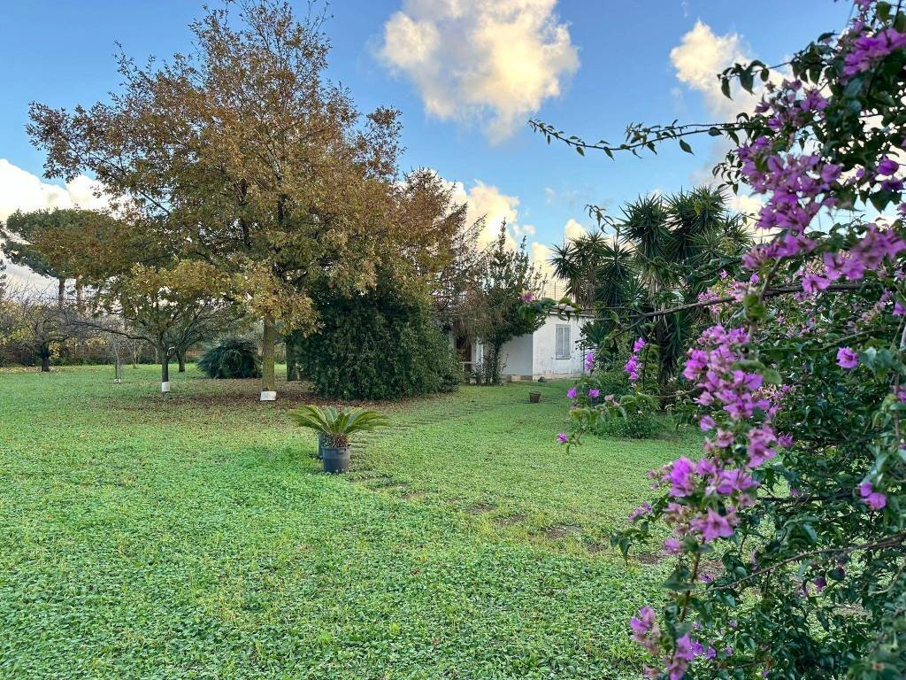 Terreno - Villa via Casal di Claudia, 142, Anzio - photo 2