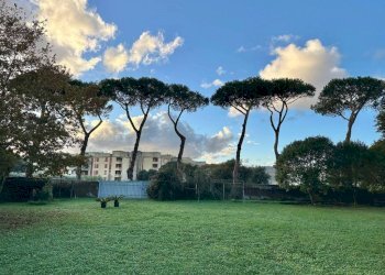 Terreno - Villa via Casal di Claudia, 142, Anzio - photo 8