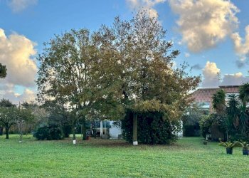 Terreno - Villa via Casal di Claudia, 142, Anzio - photo 9