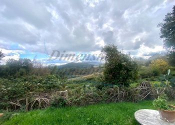 5823684089981111339.jpg - Casale Strada Comunale Sant'Ippolito, Pomarance - foto 8